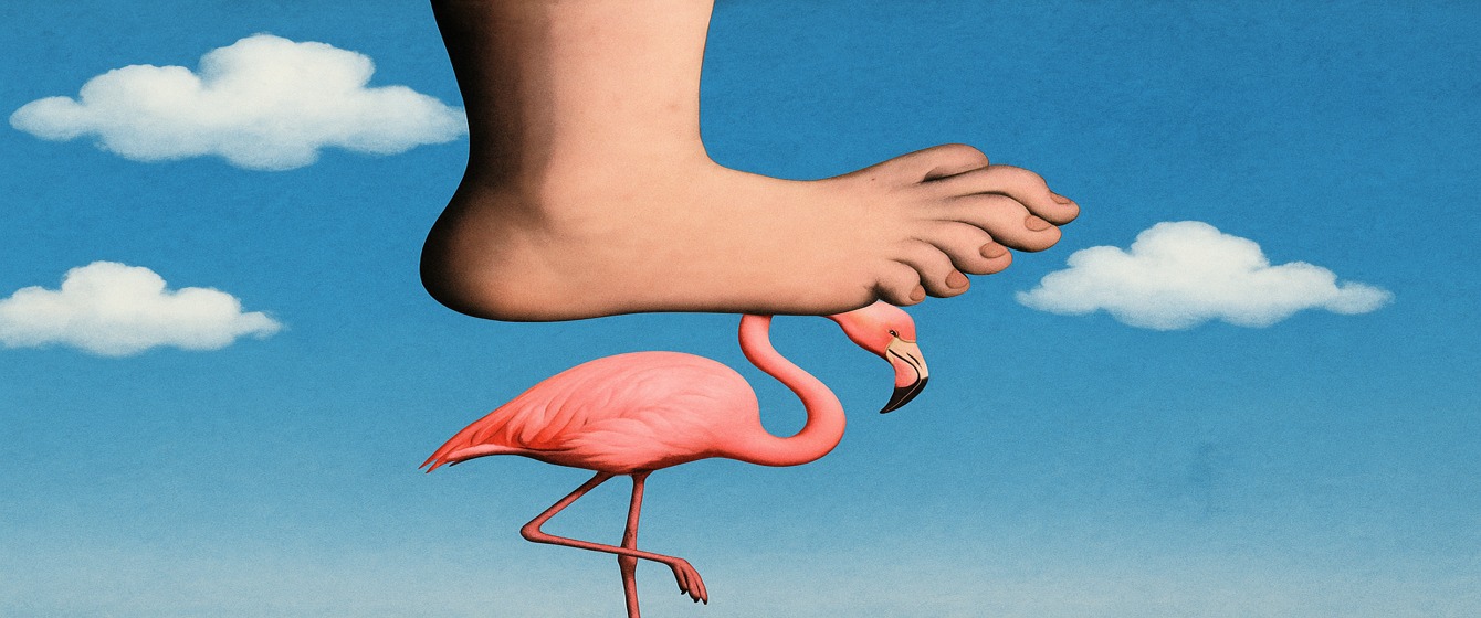 LensView Issue 27: Grok vs. Monty Python: Buy Our Product, Or We’ll Send You a Flamingo